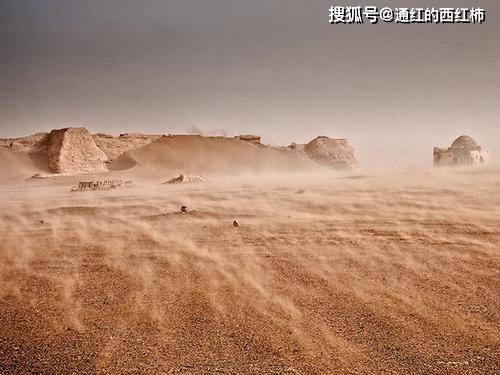 刘金启|山西煤老板花16亿买戈壁种植白杨树,只为做出属于国人的葡萄酒