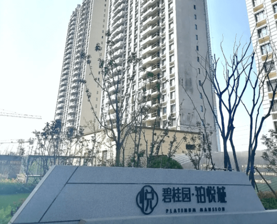 碧桂园工人讨薪被车轧伤遭通报 已发生多起讨薪事件(图4) 碧桂园工人讨薪被车轧伤遭通报 已发生多起讨薪事件(图4)