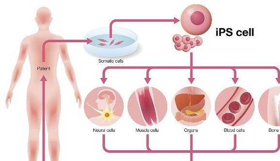 异常现象|患上“乙肝”后,这5件事尽量“少做”,身体或许会“感激”你!