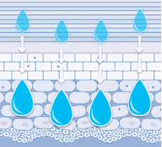 少油水媚蛙：肌肤“水油不平衡”？你的众多肌肤问题都是因为它！