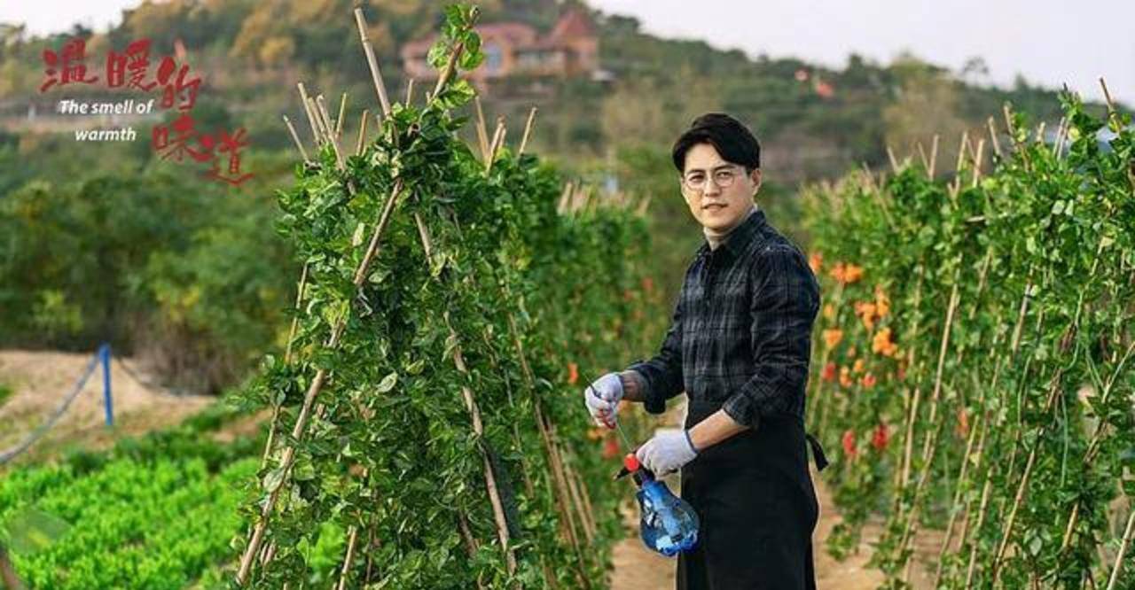 生活|别被高收视率骗了，靳东新剧口碑彻底崩了，全是一星差评？