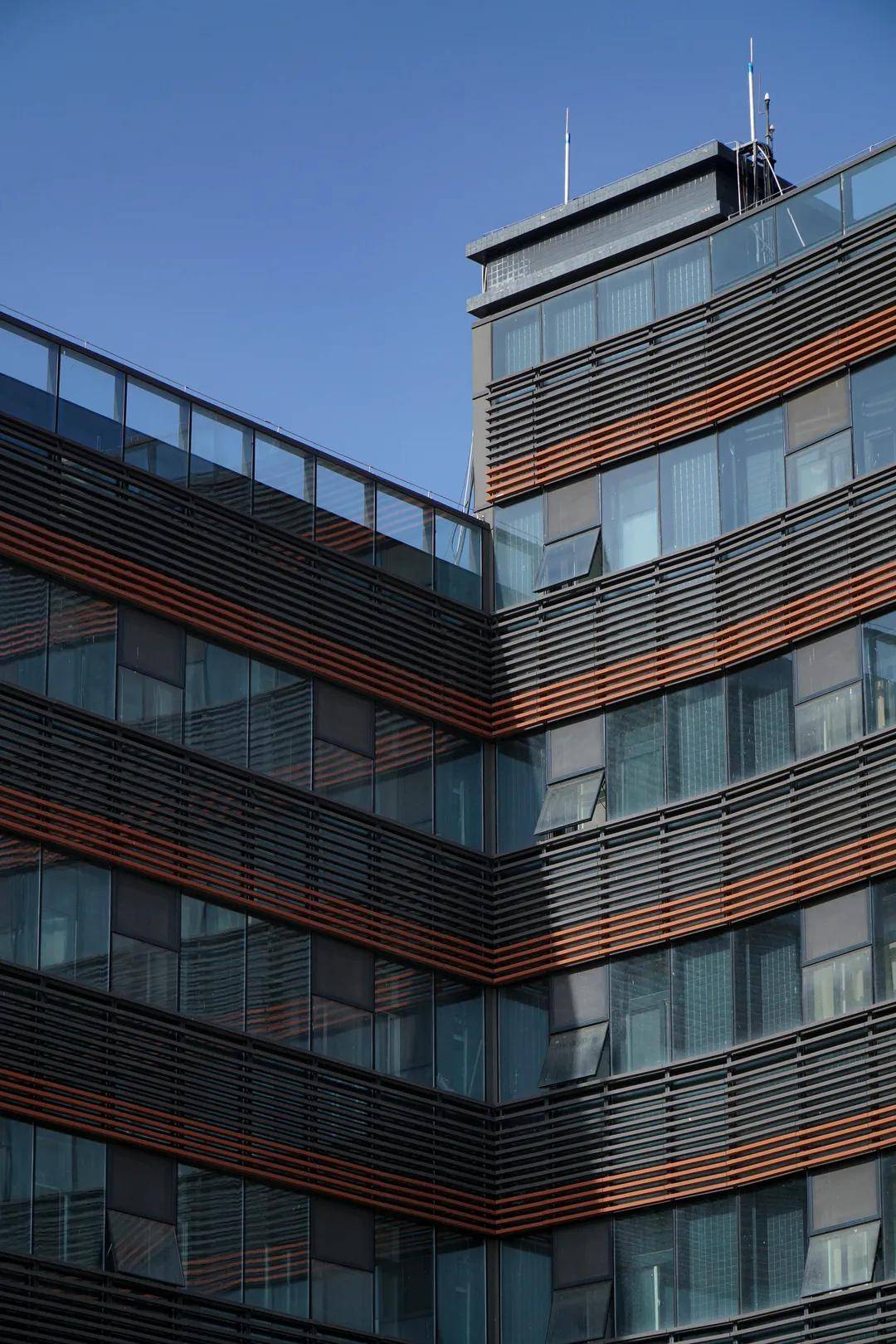 风是|西安翻译学院的风，是什么味道？