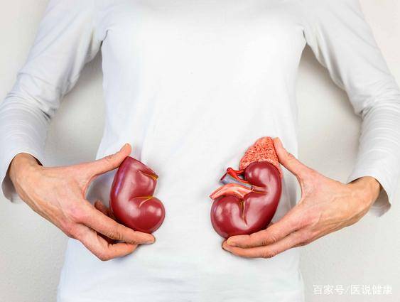 肾脏|提醒：这些饮食坏习惯，尽量改掉！小心“肾脏”长石头