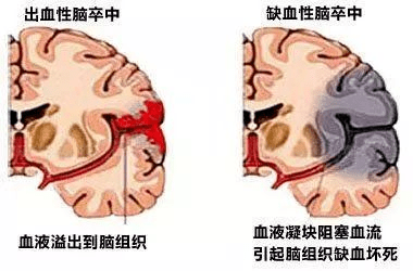 15389899178c4d6daf8261d2389eadef.png