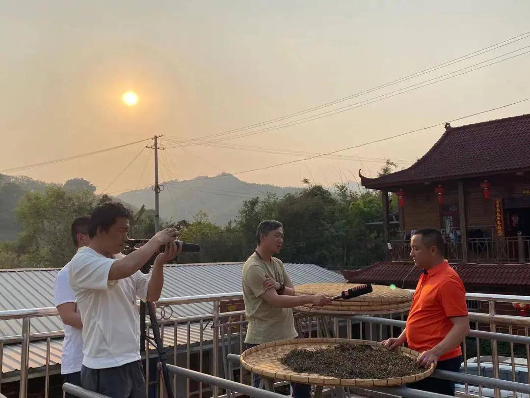 乡村|“寻味倚邦”茶话会来了！这场你绝对不能错过，让我们一同以茶为鉴，品味历史