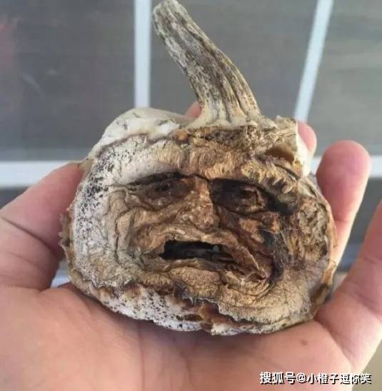 搞笑圖片：用這個杯子喝酒，手應該放在哪裡呢？ 搞笑整蠱 第2张