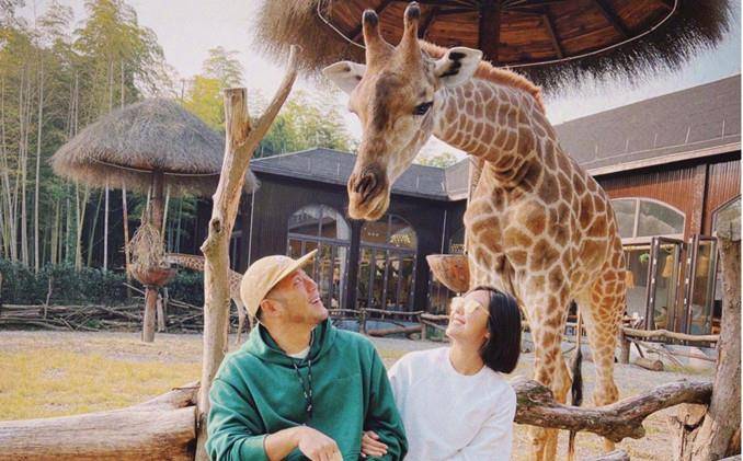 卫衣 赵奕欢逛动物园，穿卫衣配健美裤秀身材曲线，见长颈鹿还俏皮亲吻