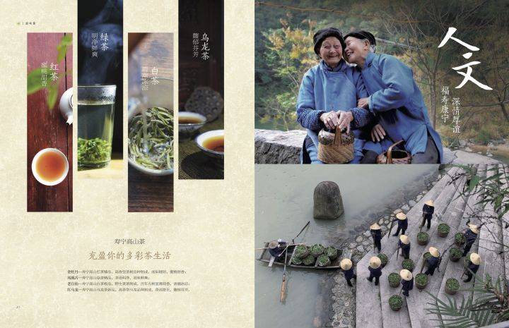 产茶|寿宁高山茶 等一等香的浪漫，甜? | 砾壤茶区