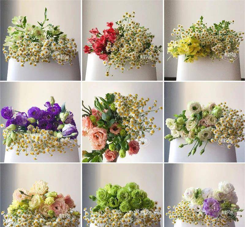 洋甘菊 · 田野清风_插花