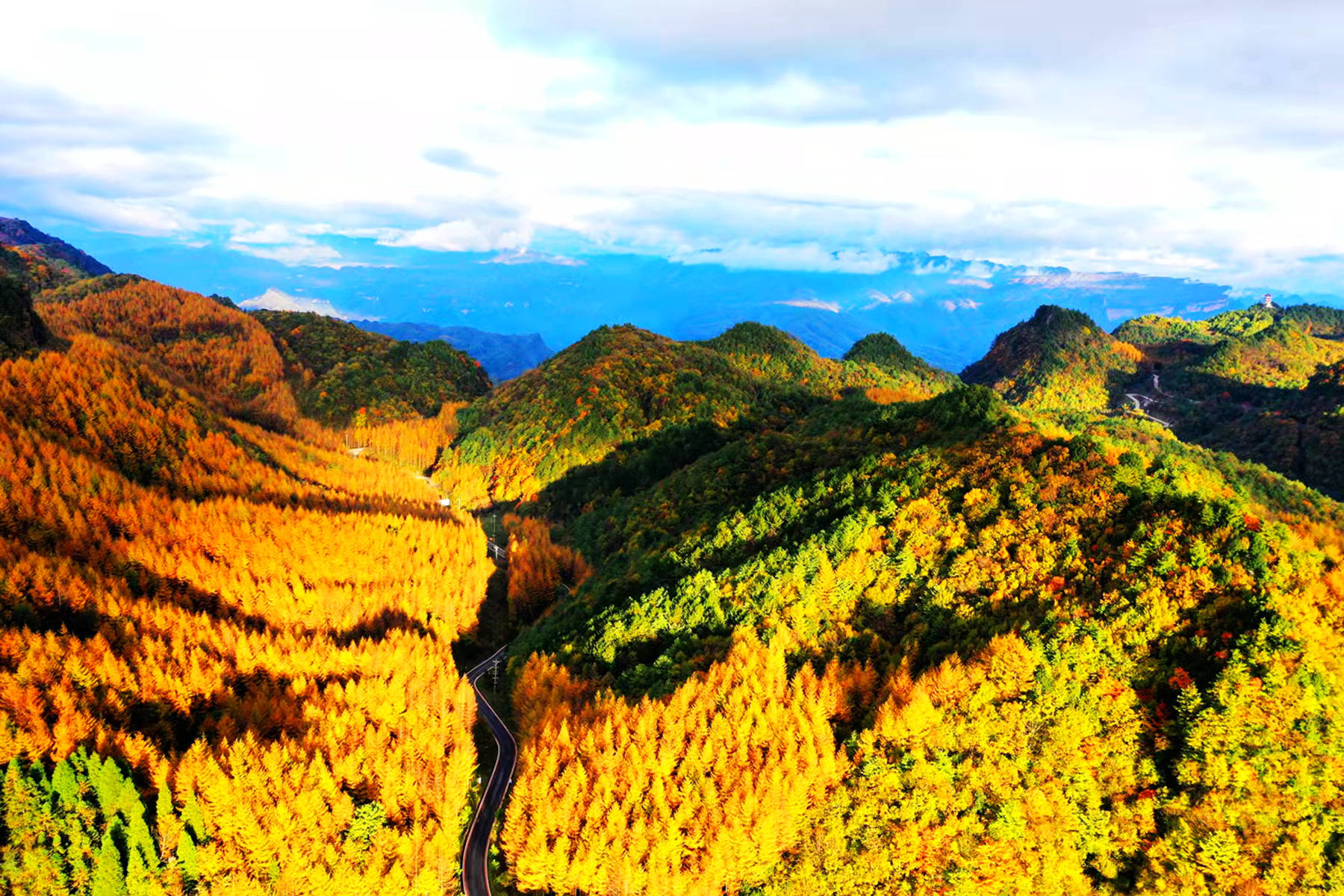 雲賞秋景,打卡純淨的自然旅行地曾家山,空中俯瞰群山紅葉,美!_廣元