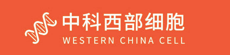 治疗|中科西部干细胞研究院：间充质干细胞治疗糖尿病肾病的作用与机制