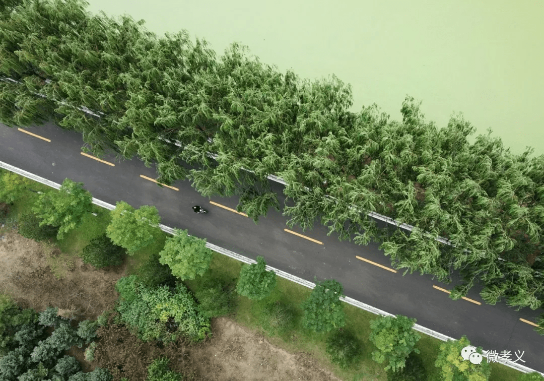 孝义|深秋，请君入孝义，邂逅秋天的浪漫