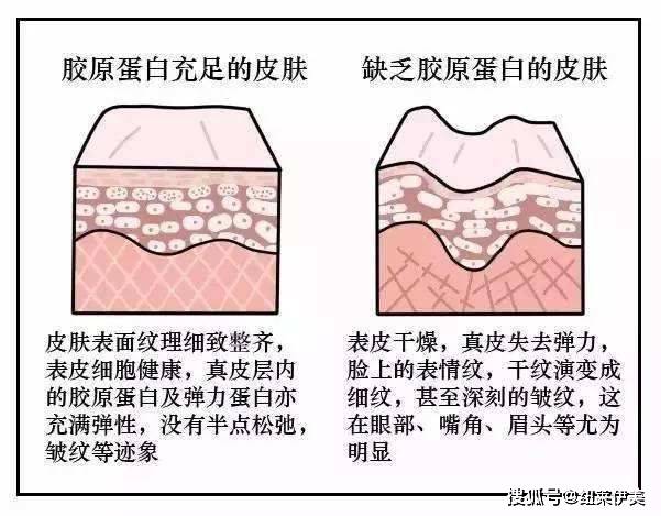 人体《永恒族》上映好莱坞性感女神安吉丽娜·朱莉瘦脱了相，胶原蛋白补起来！