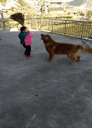 吓我一跳搞笑GIF：只有男人才懂的痛