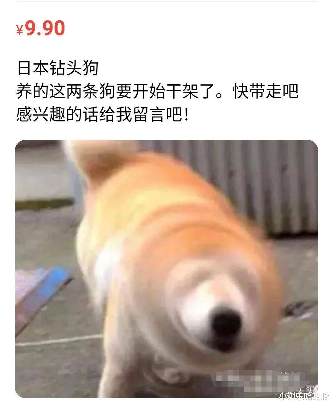 我很色怎么办