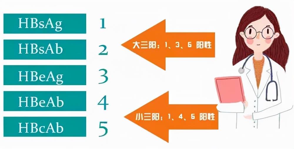 癌变|乙肝大三阳和小三阳哪个更危险、更容易癌变？