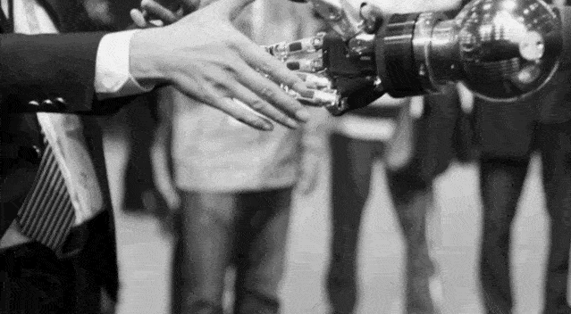 11月，按捺不住的不只是女人，还有微软