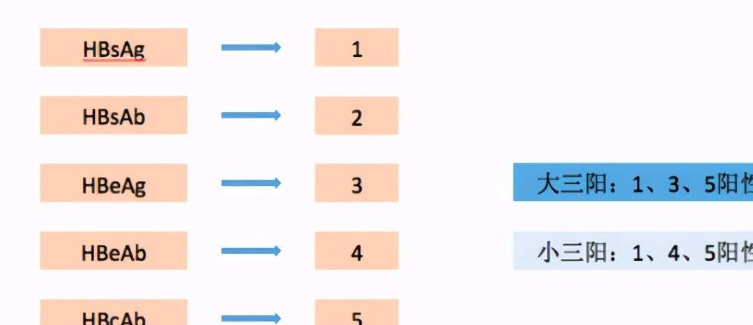 科普|小三阳只要DNA阳性,就要抗病毒?乙肝患者,请收下这封科普信