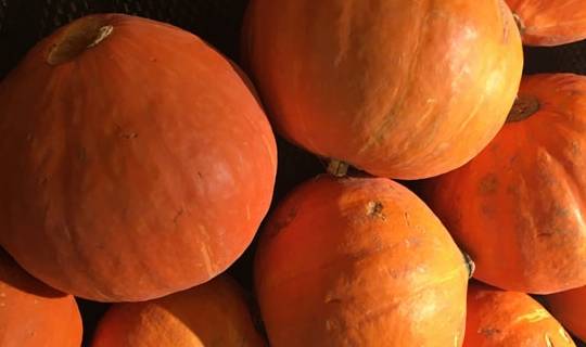 说法|糖尿病患者吃南瓜真的降血糖吗？这种吃法，你可能走进“陷阱”了