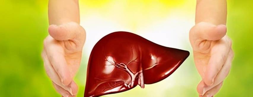 科普|小三阳只要DNA阳性,就要抗病毒?乙肝患者,请收下这封科普信