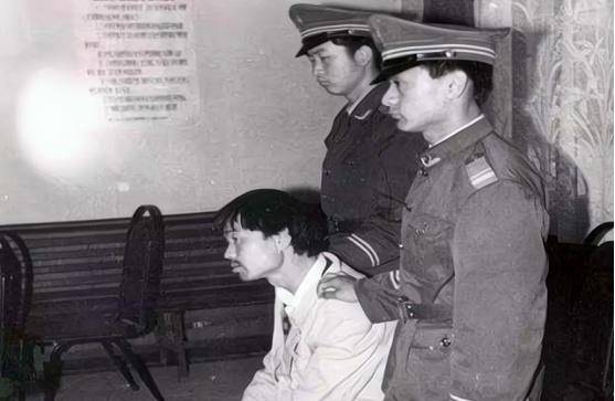 人与狗|93年《老人与狗》大火，未曾想狗主是杀人狂魔，人与狗都被枪毙