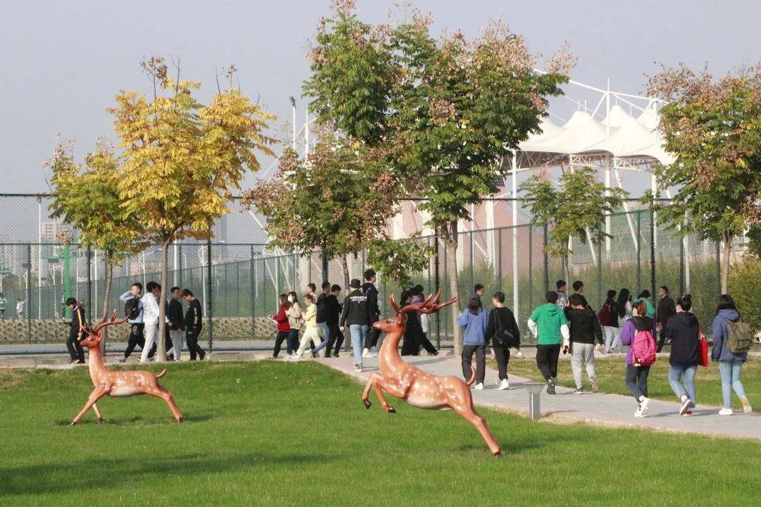 阳光|西安高新科技职业学院校园景色 | 和煦秋日