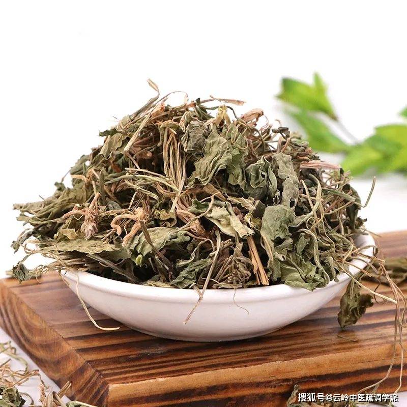 我们就从疏调抗艾汤的第三味药紫花地丁继续给大家介绍了.