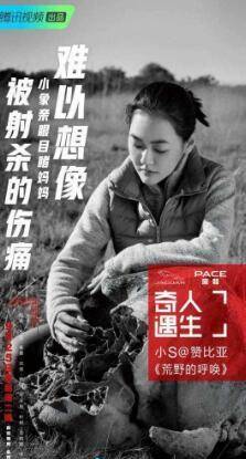 地方|阿雅跑去主持真人秀,《奇遇人生》里的小S你还认识吗?