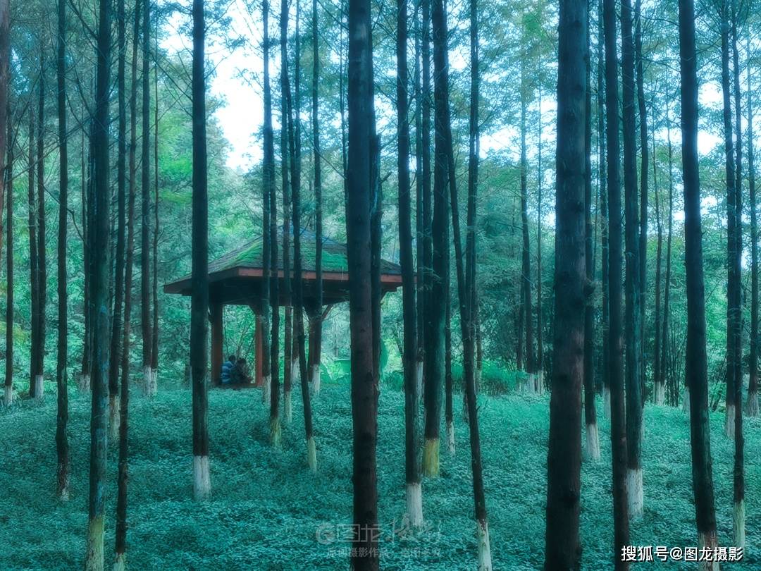 随时都能发现身边的美 85c16b49b6e24c09a1f075b3f0a6160b.jpeg