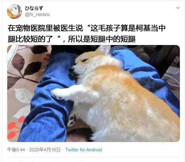 小强假如你老公每月给你6万，叫你不要管他的事，你愿意吗？