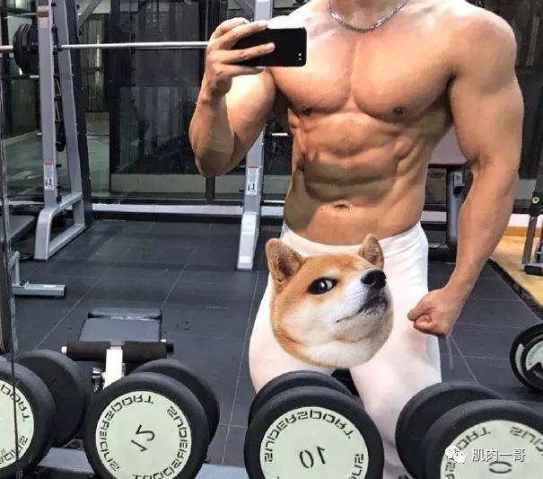 肉体|四川筋肉教练浴室自拍照疯传，这肉体太可了