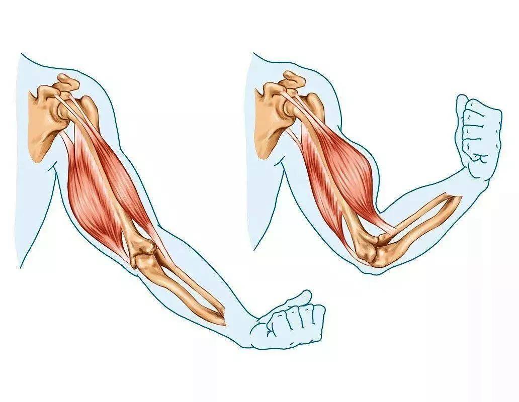 治疗|中医是如何辩证治疗“运动神经元病”!