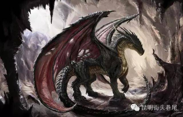 这16只神兽是昆明人都知道