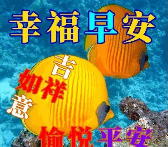 14899be5f3be4fafa827a8aac78d1e73.jpeg