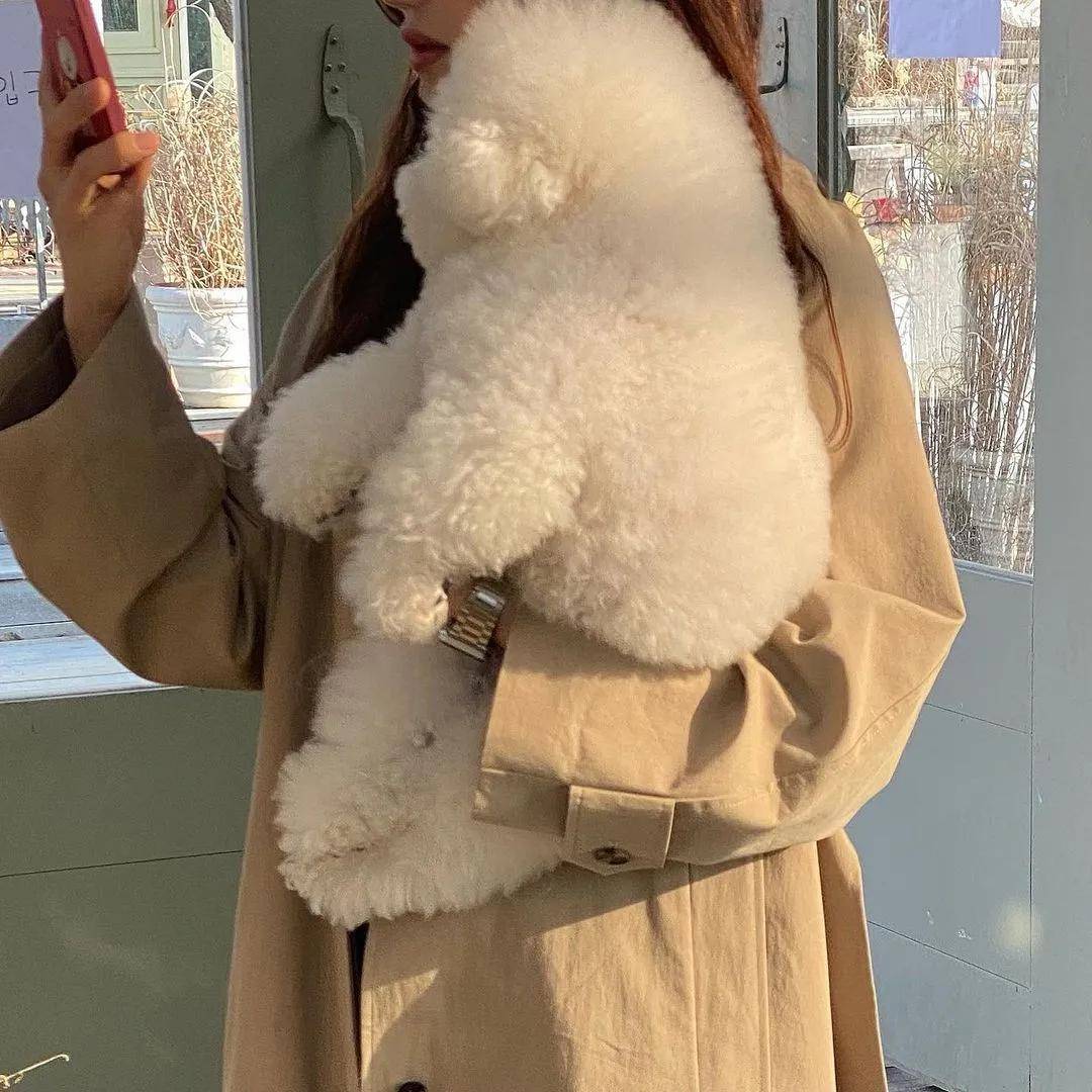 韩国超甜小奶狗爆红网络!眼神勾人,笑起来心都要萌化了!_arang