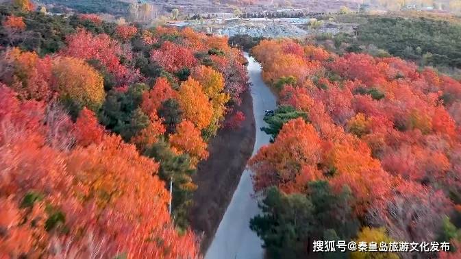 栈道|免费！秦皇岛这个隐蔽的山野公园，藏着金秋最美景致~