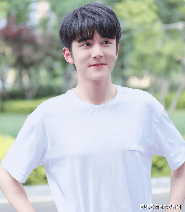 张新成|张新成童瑶合作新剧,《小南风》即将开机,你期待这部剧吗?