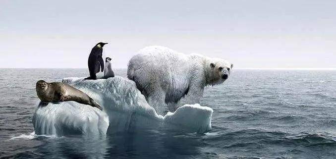 原创陈根:气候暖化的回应与倡议,差强人意的这些年