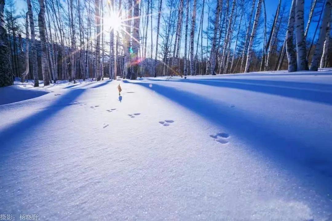 令人陶醉和迷戀~披白褂的山脈晶瑩剔透的霧凇阿爾山的雪風情萬種 潔白