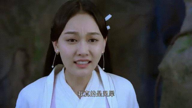 许仙|《新白蛇传》积压剧果然是有原因的，下次这样的剧，还是埋了吧