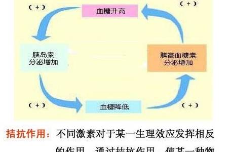 关系|血糖高,与这8个环节有很大关系,找出原因帮你更好的控制血糖