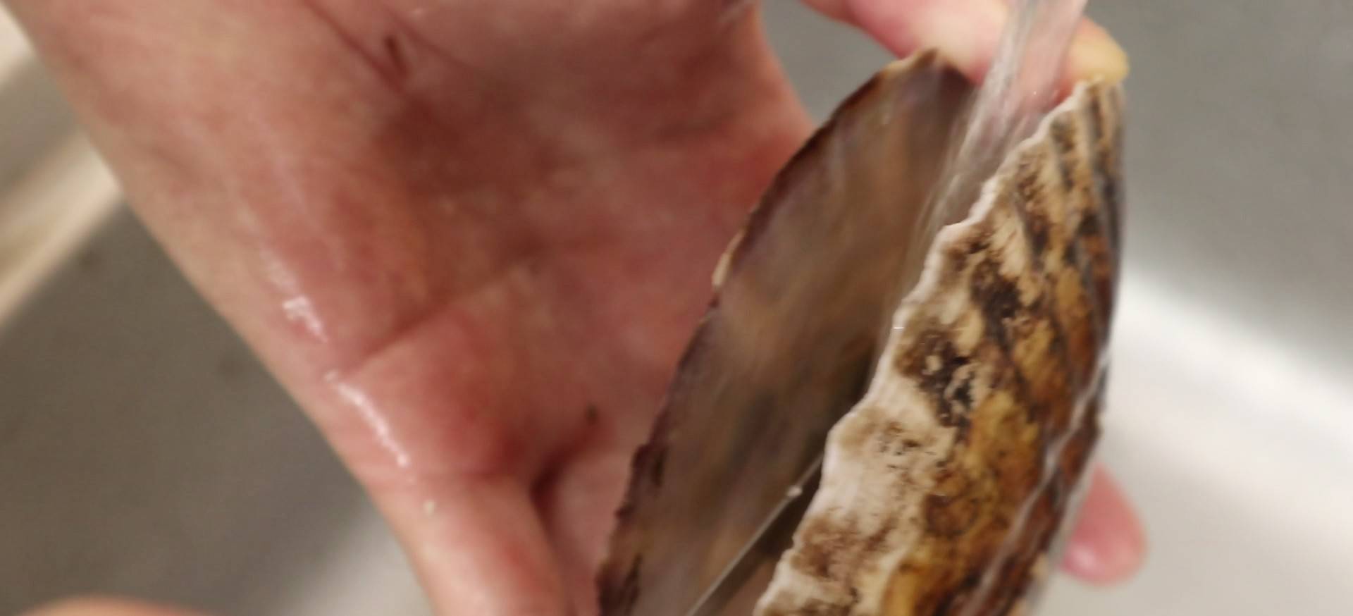 推荐大家这道蒜蓉粉丝蒸扇贝 做法简单 营养美味 建议收藏 预备