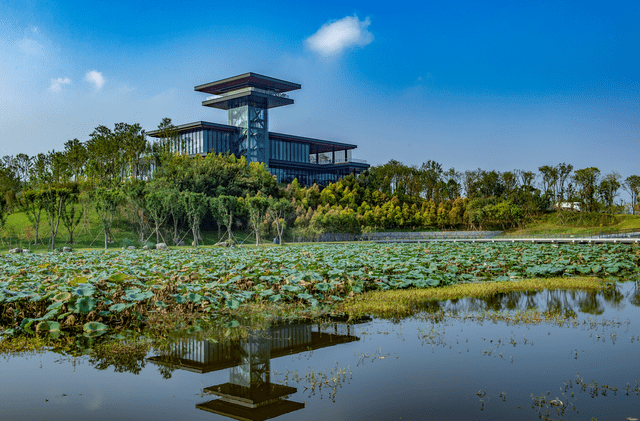 建设大美简州中交四航局为成渝双城经济圈发展贡献央企力量