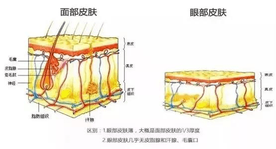 智商眼霜不是交智商税！年轻与否，看你的眼睛就知道