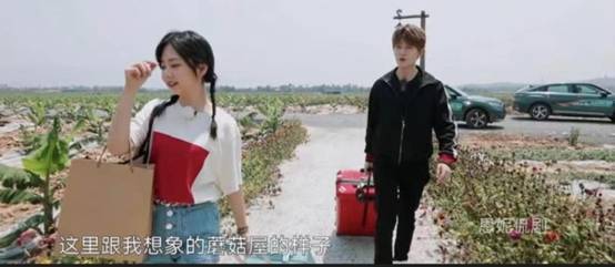 归路|网传任嘉伦谭松韵再度合作现代新剧?刷新锦衣奶奶的认知!你追吗