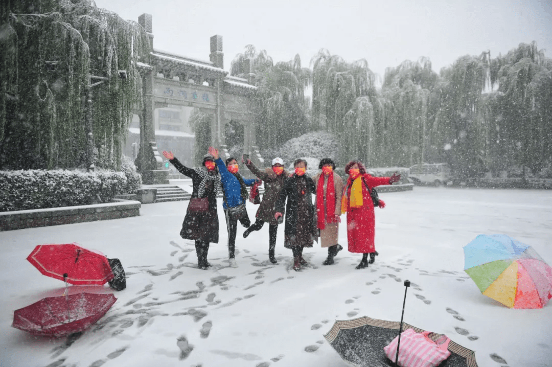 雪花|如约而至！近十年最早初雪光临济南，快收好这份雪景大赏，足不出户看雪映泉城