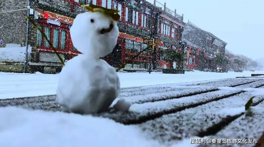 控制|秦皇岛初雪！惊艳四方的美景都在这儿了~