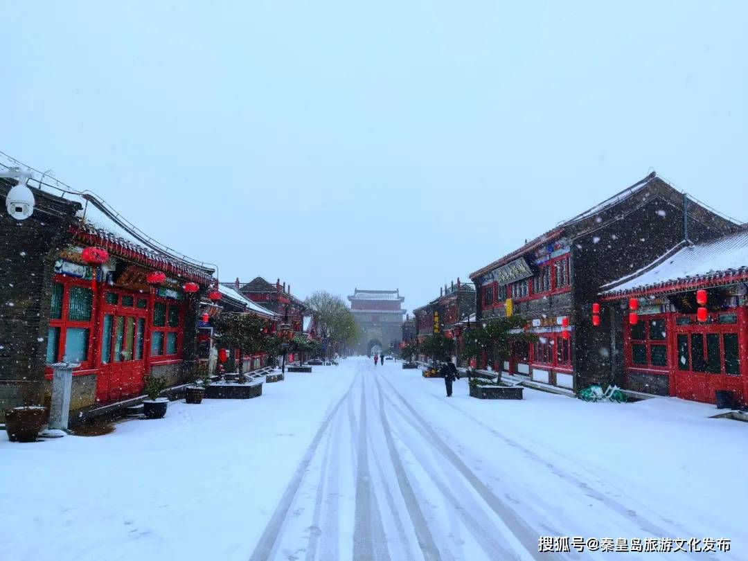 控制|秦皇岛初雪！惊艳四方的美景都在这儿了~