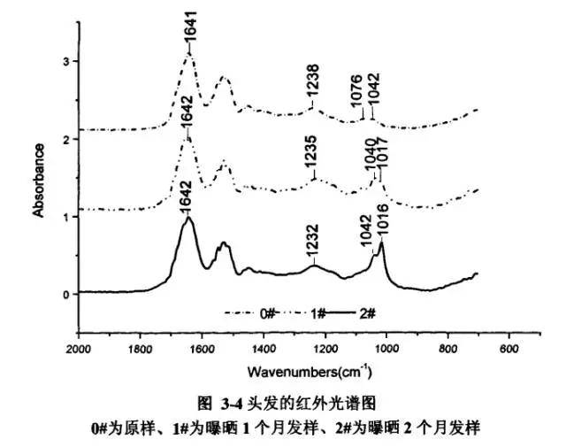 红外光谱中,硫氧键区域振动增强表明有的二硫键被破坏,变成其他结构