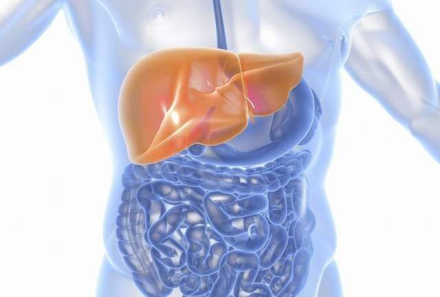 肝脏|养成这个好习惯可以帮助你避免肝脏疾病